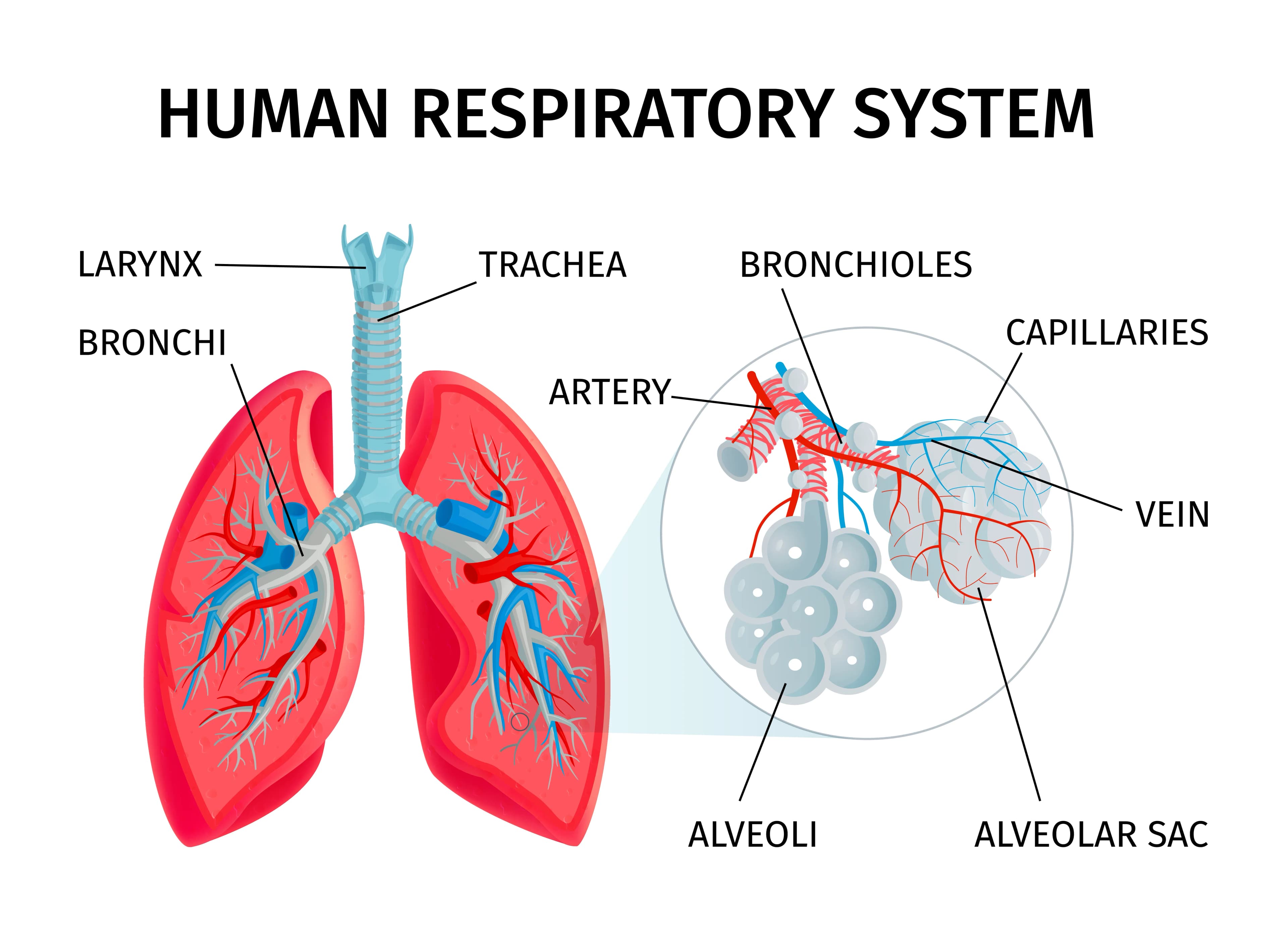Respiratory & Generics